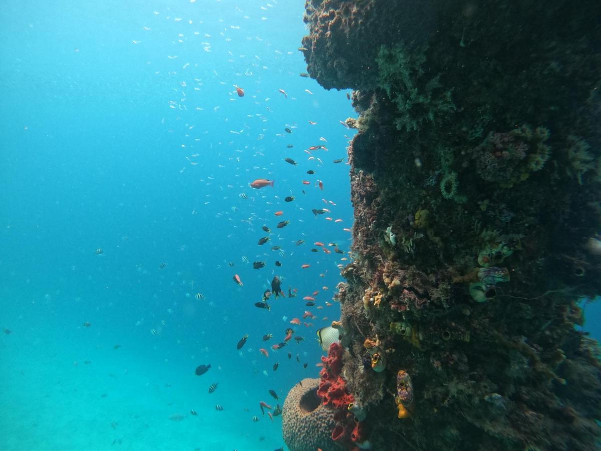 Meos Ambower Homestay Raja Ampat Fam Exterior foto